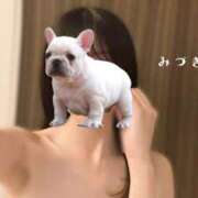 ヒメ日記 2026/06/23 16:01 投稿 みづき 秋葉原 添い寝女子
