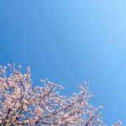 ヒメ日記 2025/05/14 13:52 投稿 ほのか 全裸SUPERプレミアム