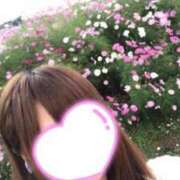 ヒメ日記 2025/05/25 19:12 投稿 まゆ 舐めフェチの会