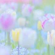 ヒメ日記 2025/06/01 18:43 投稿 まゆ 舐めフェチの会