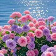 ヒメ日記 2025/08/04 15:30 投稿 まゆ 舐めフェチの会