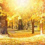 ヒメ日記 2025/10/22 21:35 投稿 まゆ 舐めフェチの会