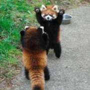 ヒメ日記 2025/11/28 13:01 投稿 まゆ 舐めフェチの会