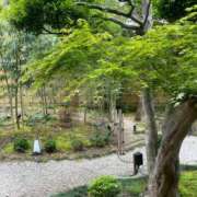 ヒメ日記 2026/04/26 13:58 投稿 まゆ 舐めフェチの会
