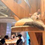 ヒメ日記 2026/04/29 22:38 投稿 まゆ 舐めフェチの会
