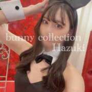 ヒメ日記 2025/04/25 14:02 投稿 ハヅキ バニーコレクション千葉栄町店