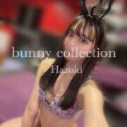 ヒメ日記 2025/05/01 19:26 投稿 ハヅキ バニーコレクション千葉栄町店