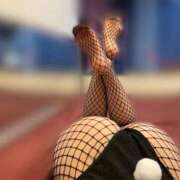 ヒメ日記 2025/06/02 15:13 投稿 ハヅキ バニーコレクション千葉栄町店