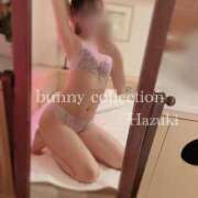 ヒメ日記 2025/06/29 17:57 投稿 ハヅキ バニーコレクション千葉栄町店