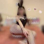 ヒメ日記 2025/07/08 22:17 投稿 ハヅキ バニーコレクション千葉栄町店