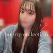 ハヅキ 圧倒的0.01♡ バニーコレクション千葉栄町店