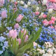 ヒメ日記 2025/04/15 10:52 投稿 はじめ（新人割引4/19まで） ウルトラグレイス24