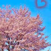 ヒメ日記 2025/04/17 07:32 投稿 はじめ（新人割引4/19まで） ウルトラグレイス24