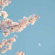 ヒメ日記 2025/04/20 10:37 投稿 はじめ（新人割引4/19まで） ウルトラグレイス24