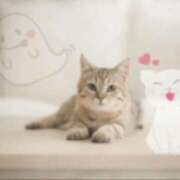 ヒメ日記 2025/04/23 13:55 投稿 はじめ（新人割引4/19まで） ウルトラグレイス24