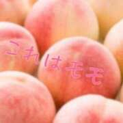 ヒメ日記 2025/04/24 11:24 投稿 はじめ（新人割引4/19まで） ウルトラグレイス24