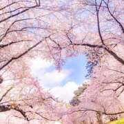 ヒメ日記 2025/04/26 16:30 投稿 はじめ（新人割引4/19まで） ウルトラグレイス24