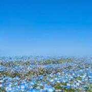 ヒメ日記 2025/04/29 13:54 投稿 はじめ（新人割引4/19まで） ウルトラグレイス24