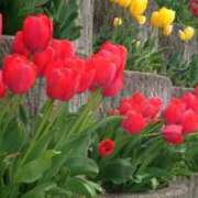 ヒメ日記 2025/05/03 18:00 投稿 はじめ（新人割引4/19まで） ウルトラグレイス24