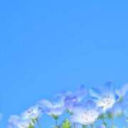 ヒメ日記 2025/05/10 22:19 投稿 はじめ（新人割引4/19まで） ウルトラグレイス24