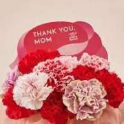 ヒメ日記 2025/05/12 00:00 投稿 はじめ（新人割引4/19まで） ウルトラグレイス24