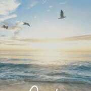 ヒメ日記 2025/05/13 05:20 投稿 はじめ（新人割引4/19まで） ウルトラグレイス24