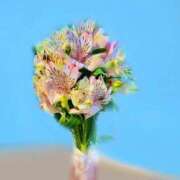 ヒメ日記 2025/05/27 00:10 投稿 はじめ（新人割引4/19まで） ウルトラグレイス24