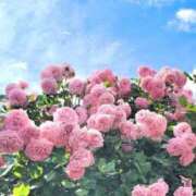 ヒメ日記 2025/05/28 13:53 投稿 はじめ（新人割引4/19まで） ウルトラグレイス24