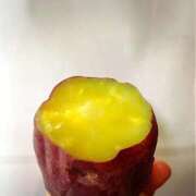 ヒメ日記 2025/10/07 00:00 投稿 はじめ（新人割引4/19まで） ウルトラグレイス24