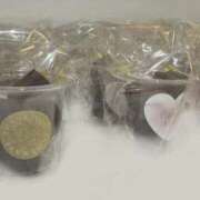 ヒメ日記 2026/02/13 23:50 投稿 はじめ（新人割引4/19まで） ウルトラグレイス24