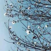 ヒメ日記 2026/03/17 12:20 投稿 はじめ（新人割引4/19まで） ウルトラグレイス24