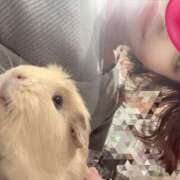 ヒメ日記 2025/06/22 12:40 投稿 潤-じゅん【FG系列】 ほんつま 沼津店 (FG系列)