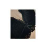 ヒメ日記 2025/09/20 23:30 投稿 白石 ミセスの手ほどき