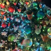 白石 本日11時〜✨ ミセスの手ほどき