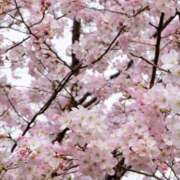 白石 本日11時30分〜💫 ミセスの手ほどき