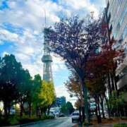 ヒメ日記 2025/11/28 18:01 投稿 速水　えれな【某有名人気嬢】 Salon de Flawless（サロンドフローレス）