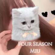 ヒメ日記 2025/11/13 14:18 投稿 美羽-みう- フォーシーズン