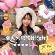 ヒメ日記 2025/11/06 23:29 投稿 めみ 夕月