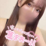 ヒメ日記 2025/05/07 12:52 投稿 Rinka/りんか プロフィール加古川