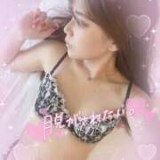 ヒメ日記 2025/04/16 02:30 投稿 Rinka/りんか プロフィール姫路