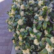 ヒメ日記 2026/03/08 10:30 投稿 浜中 上野CLUB A(クラブ エー)