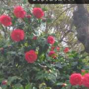 ヒメ日記 2026/03/15 17:10 投稿 浜中 上野CLUB A(クラブ エー)