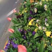 ヒメ日記 2026/03/29 10:40 投稿 浜中 上野CLUB A(クラブ エー)