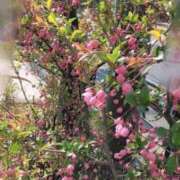 ヒメ日記 2026/03/29 20:40 投稿 浜中 上野CLUB A(クラブ エー)