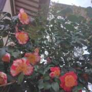 ヒメ日記 2026/04/13 14:01 投稿 浜中 上野CLUB A(クラブ エー)