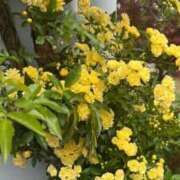 ヒメ日記 2026/04/27 13:40 投稿 浜中 上野CLUB A(クラブ エー)