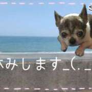 ヒメ日記 2025/06/28 11:17 投稿 萌奈-もな【FG系列】 ほんとうの人妻 厚木店【FG系列】