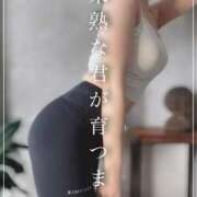 ヒメ日記 2026/02/12 07:34 投稿 みゆう ごほうびSPA神戸店