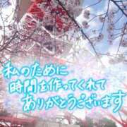 ヒメ日記 2025/04/16 00:48 投稿 あん モアグループ宇都宮人妻花壇