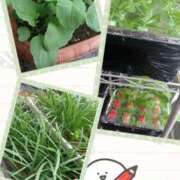 ヒメ日記 2025/04/23 14:55 投稿 あん モアグループ宇都宮人妻花壇